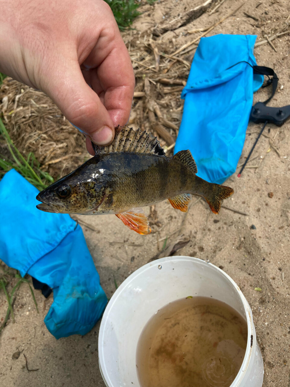 Гостевой дом Дункан Прислон-75