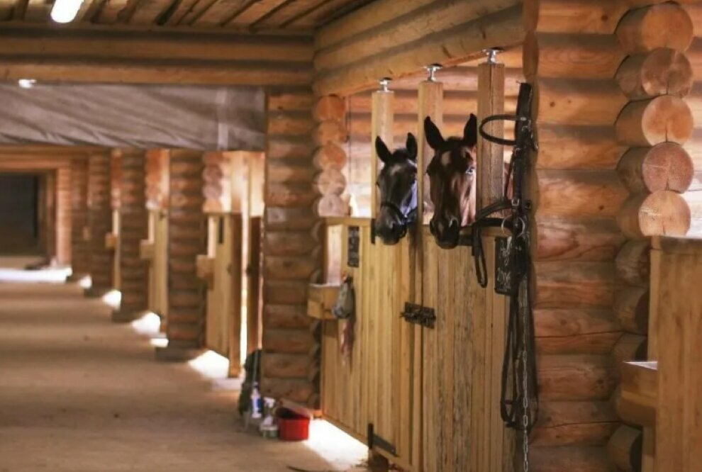 Гостевой дом Дункан Прислон-13