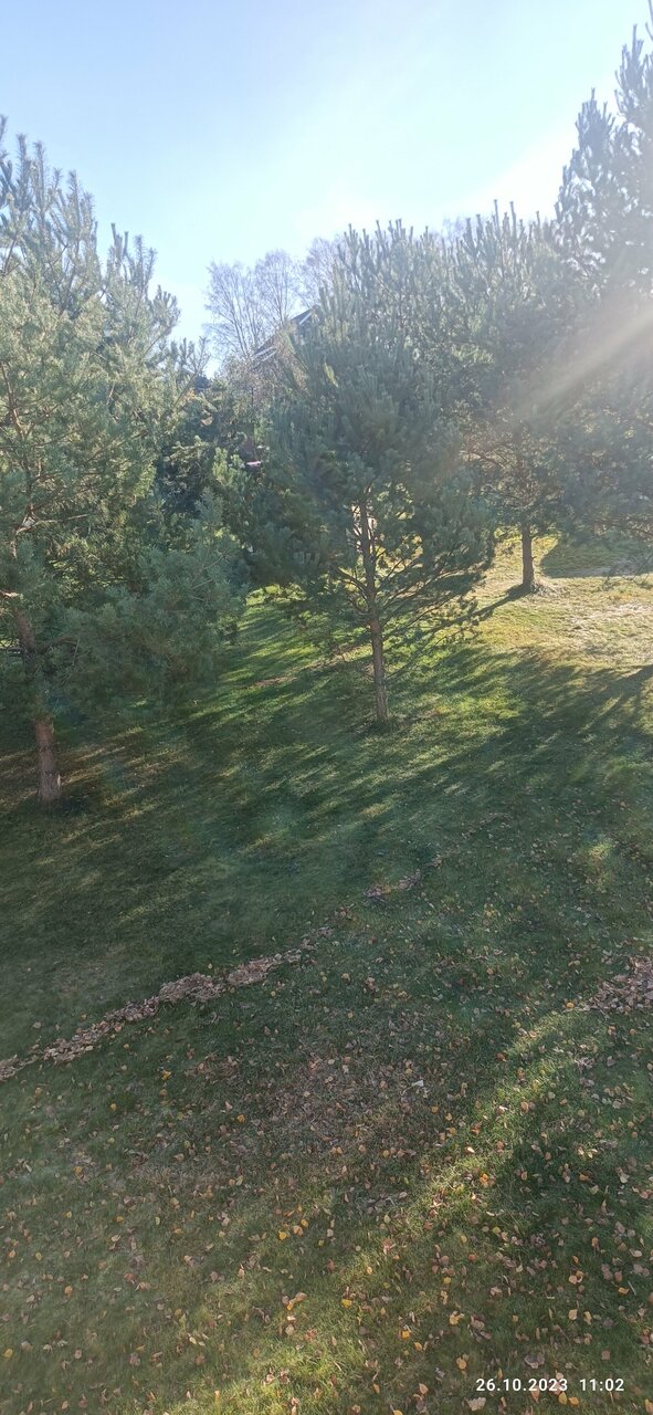 Гостевой дом Дункан Прислон-77