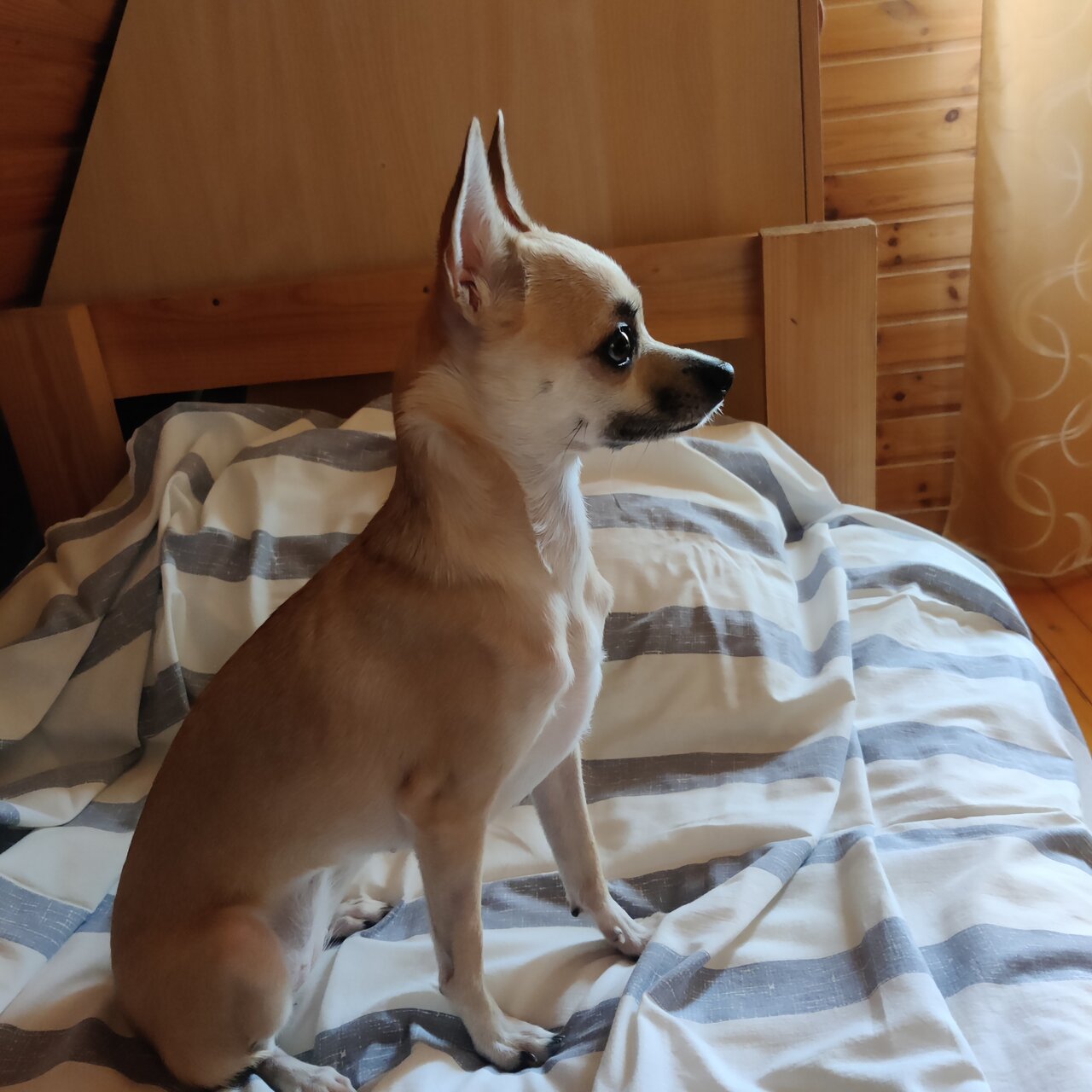 Гостевой дом Дункан Прислон-68