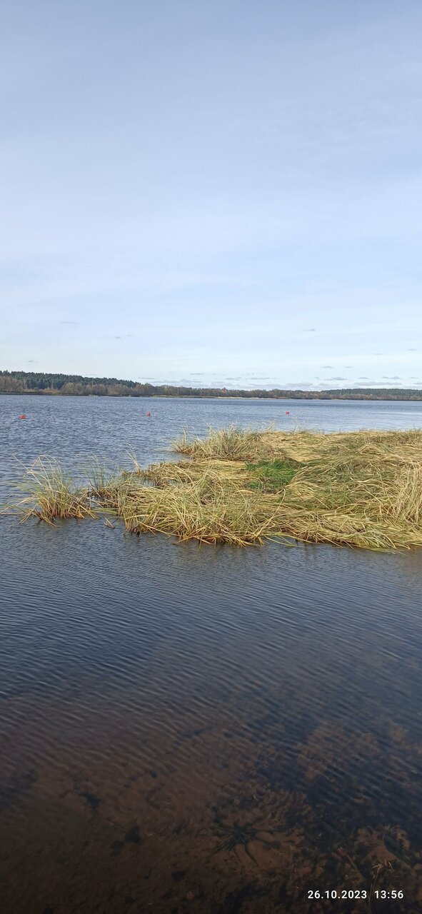 Гостевой дом Дункан Прислон-66