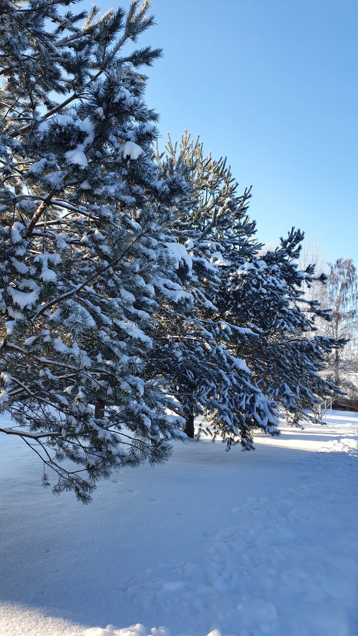 Гостевой дом Дункан Прислон-46