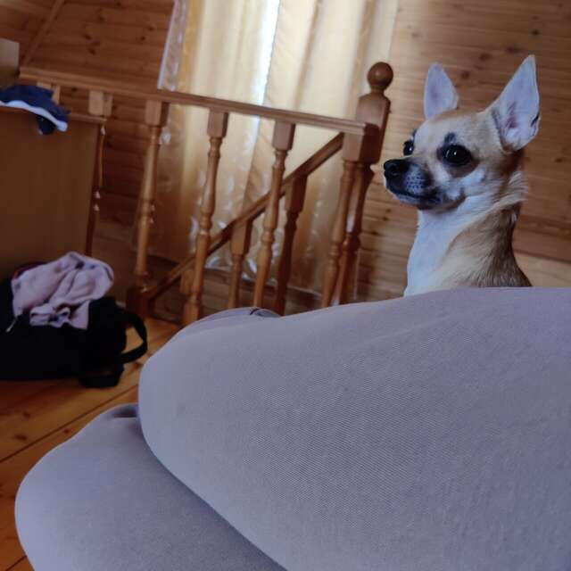 Гостевой дом Дункан Прислон-51