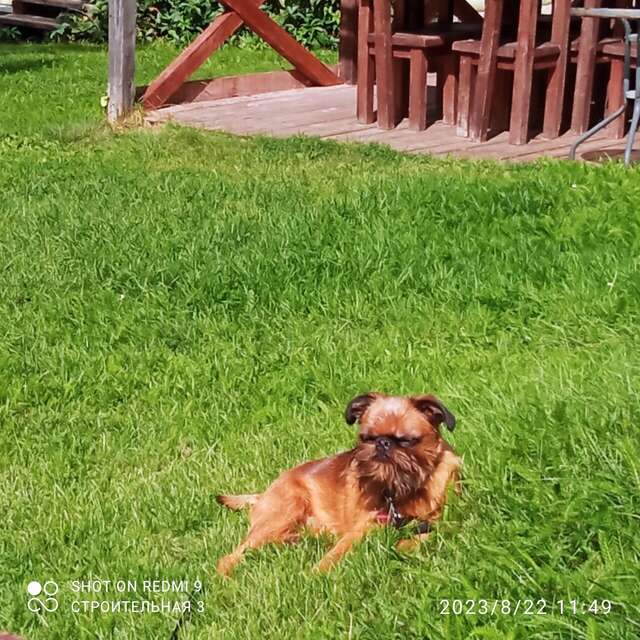 Гостевой дом Дункан Прислон-46