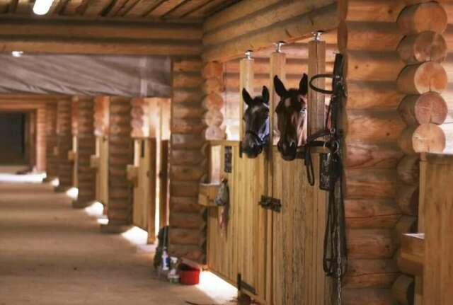 Гостевой дом Дункан Прислон-12