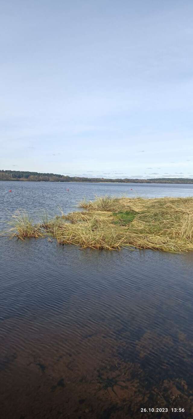 Гостевой дом Дункан Прислон-65